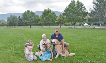 Society preparing to establish off-leash dog area in Lion’s Park