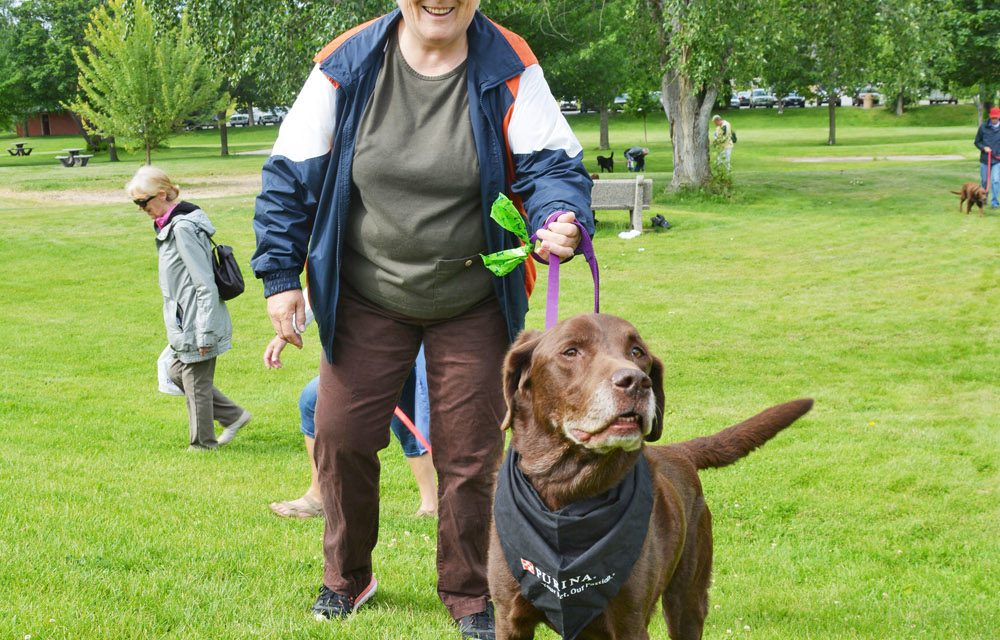 Bylaw officer cracks down on dogs off leash