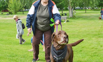 Bylaw officer cracks down on dogs off leash