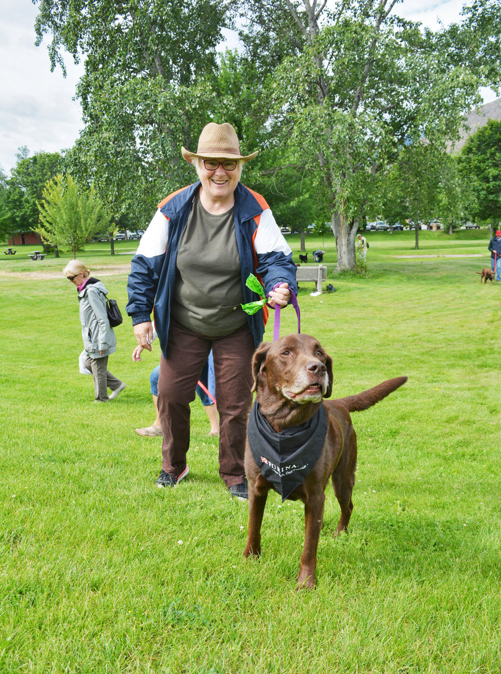 Bylaw officer cracks down on dogs off leash TimesChronicle.ca