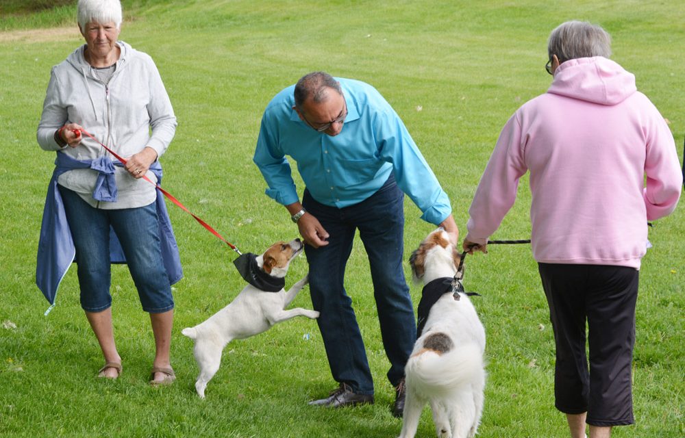 Dog lover promotes more off-leash areas in Oliver