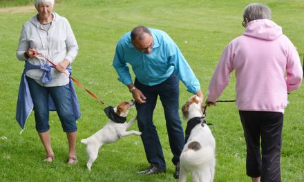 Dog lover promotes more off-leash areas in Oliver