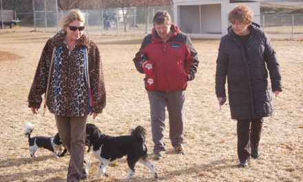 Council to keep park’s off-leash hours intact