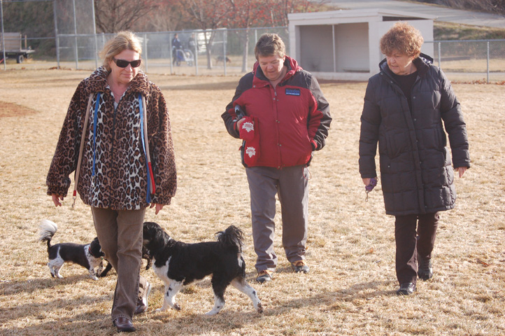 Council to keep park’s off-leash hours intact