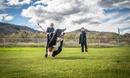 Town’s new off-leash dog park officially opens