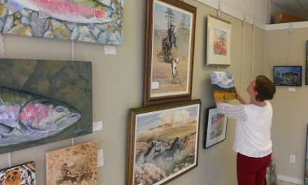A new month – a new display at the Oliver Art Gallery