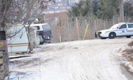Police use gas shell to force pair out of house