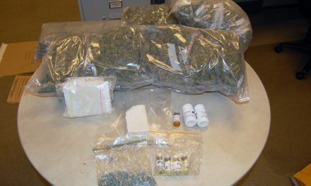 Impaired driving counter-attack results in significant drug seizure
