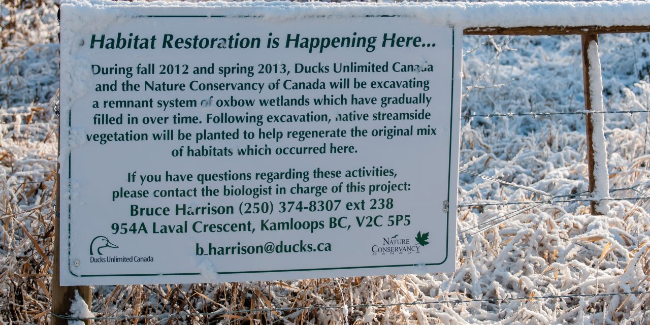 WETLANDS RESTORATION PROJECT WON’T SPREAD MOSQUITOES, SAYS DUCKS UNLIMITED REPRESENTATIVE