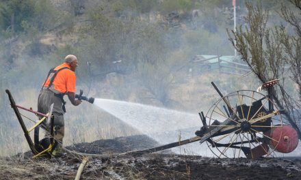 Small grass fire contained