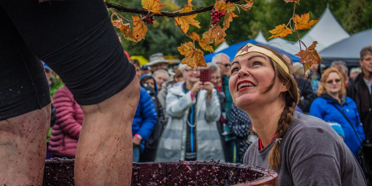 Tickets on sale for Oliver’s Festival of the Grape and Cask and Keg