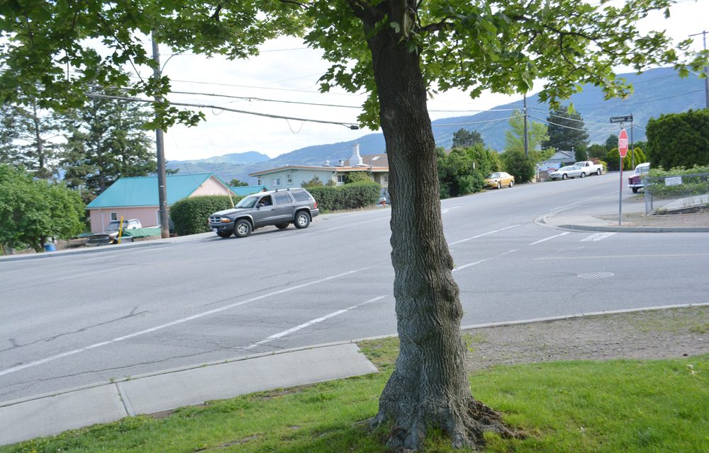 Fines going up under bylaws in Town of Oliver