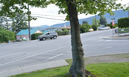 Fines going up under bylaws in Town of Oliver
