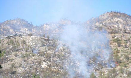 Spot fires still burning in Fairview/Willowbrook