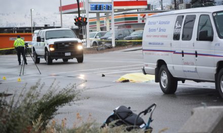 Police look for second vehicle believed involved in pedestrian fatal