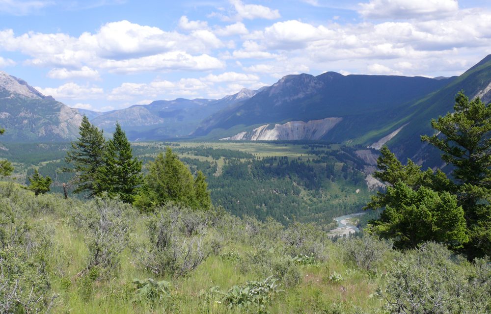 Nature Trust trying to raise $250K for land deal
