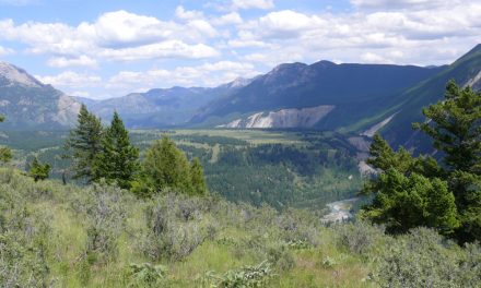 Nature Trust trying to raise $250K for land deal