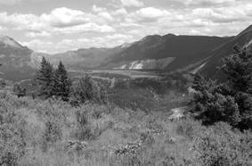 Nature Trust trying to raise $250k for final purchase of land near Vaseux Lake