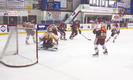 Coyotes reverse recent losing streak with impressive pair of wins this past weekend