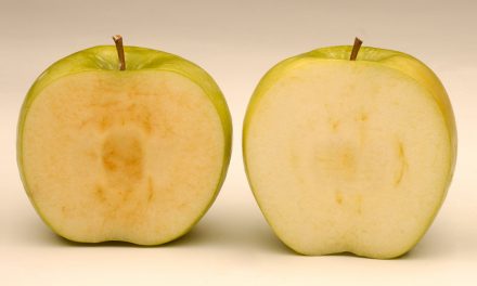 Local MP, BCFGA speak out against genetically modified apples being approved for U.S. market