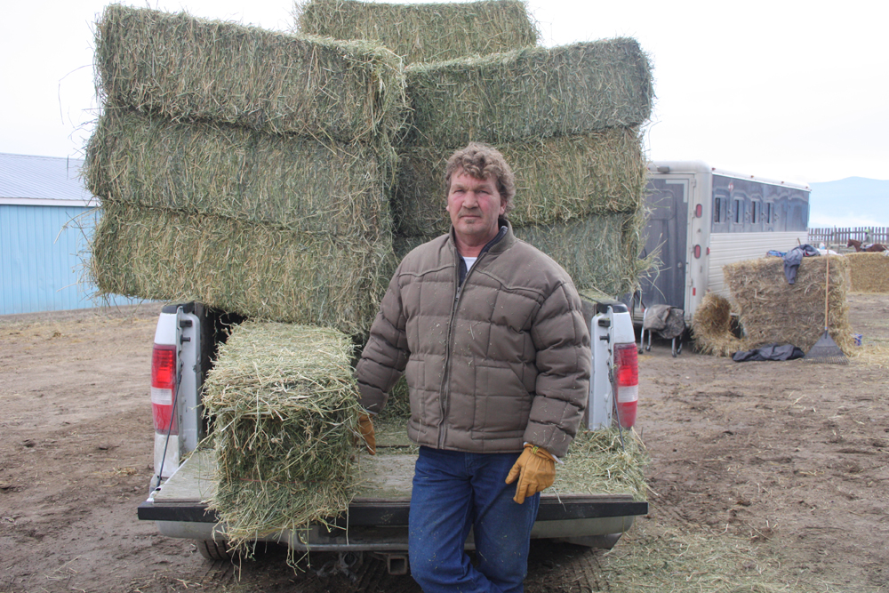 Alberta horse owner/trainer brings huge stable of 60 horses to train at