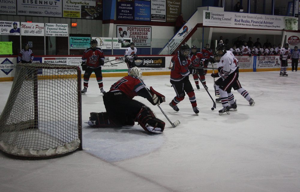 SOMHA Bantams have qualified to compete in provincial championship tournament