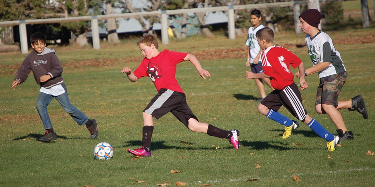 Parents urged to register children for minor soccer with season set to begin in six weeks