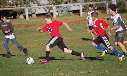 Parents urged to register children for minor soccer with season set to begin in six weeks