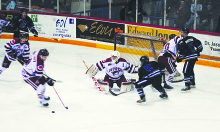 Langan records shutout on his 19th birthday to lead Coyotes to victory