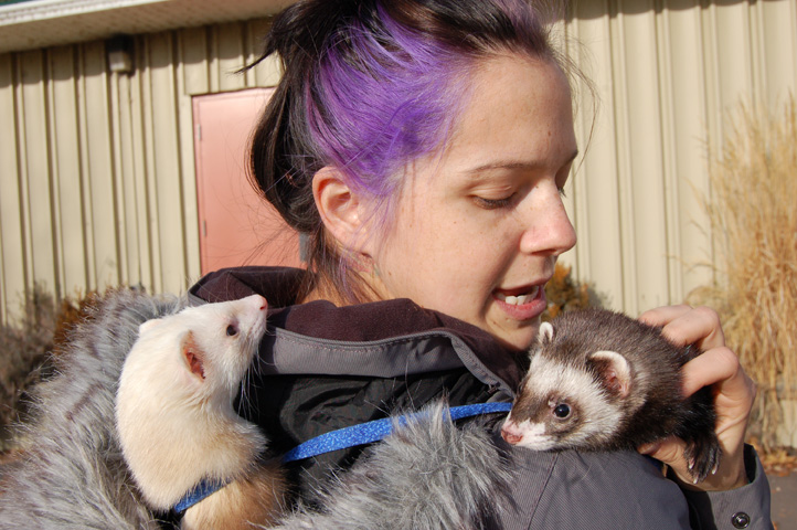 Ferreting around