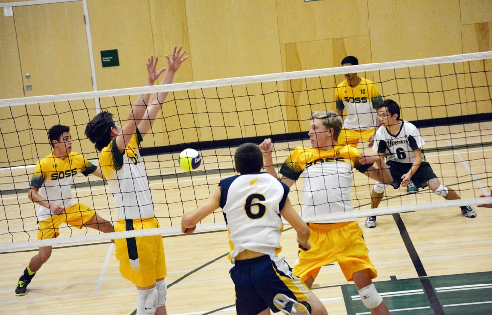 Senior Hornets winless in tournament