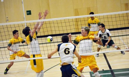 Senior Hornets winless in tournament