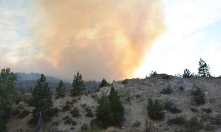 Strong winds fan wildfire in Fairview