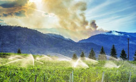 Thick smoke hampers efforts to fight local fires