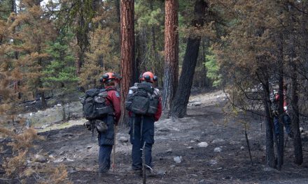 EDITORIAL: Fighting out of control wildfires in suffocating heat is no easy gig