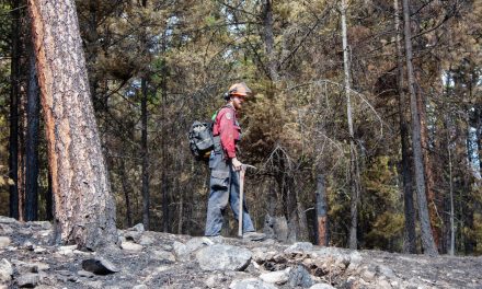 Fighting fire with fire: A look behind the scenes of the Eagle Bluff wildfire