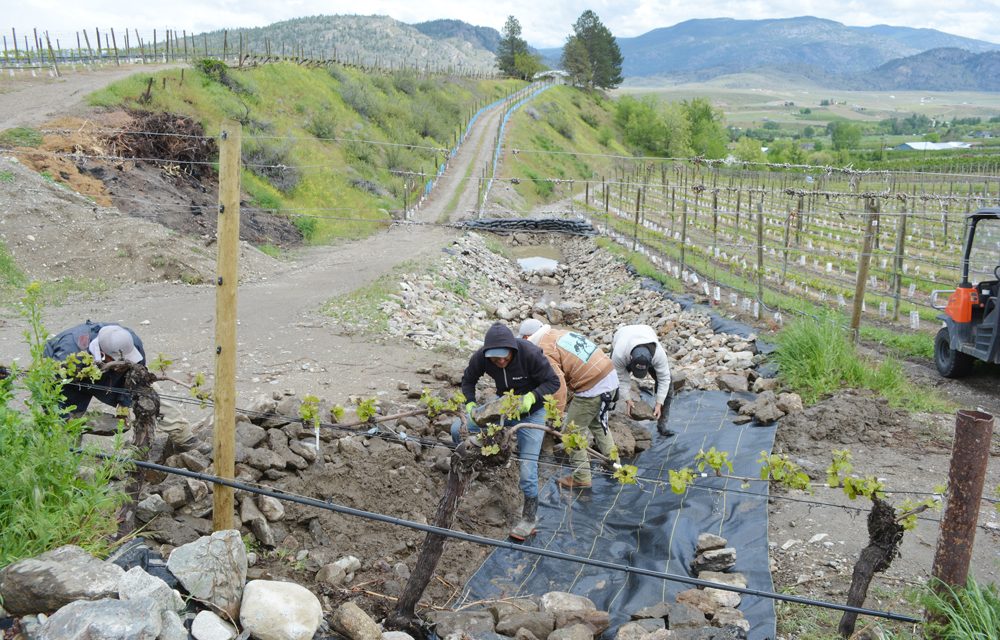 Regional officials keeping eye on Testalinda Creek