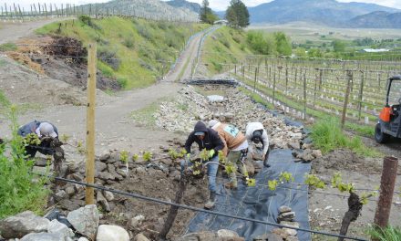 Officials keeping eye on Testalinden Creek for potential flood hazard