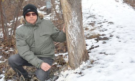 Forbes wetlands used as ‘yeast’ dumping ground