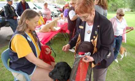 Retriever helps raise $2,700 at Walk for Dog Guides fundraiser