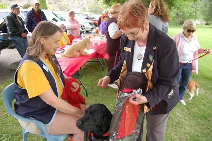 Retriever helps raise $2,700 at Walk for Dog Guides fundraiser