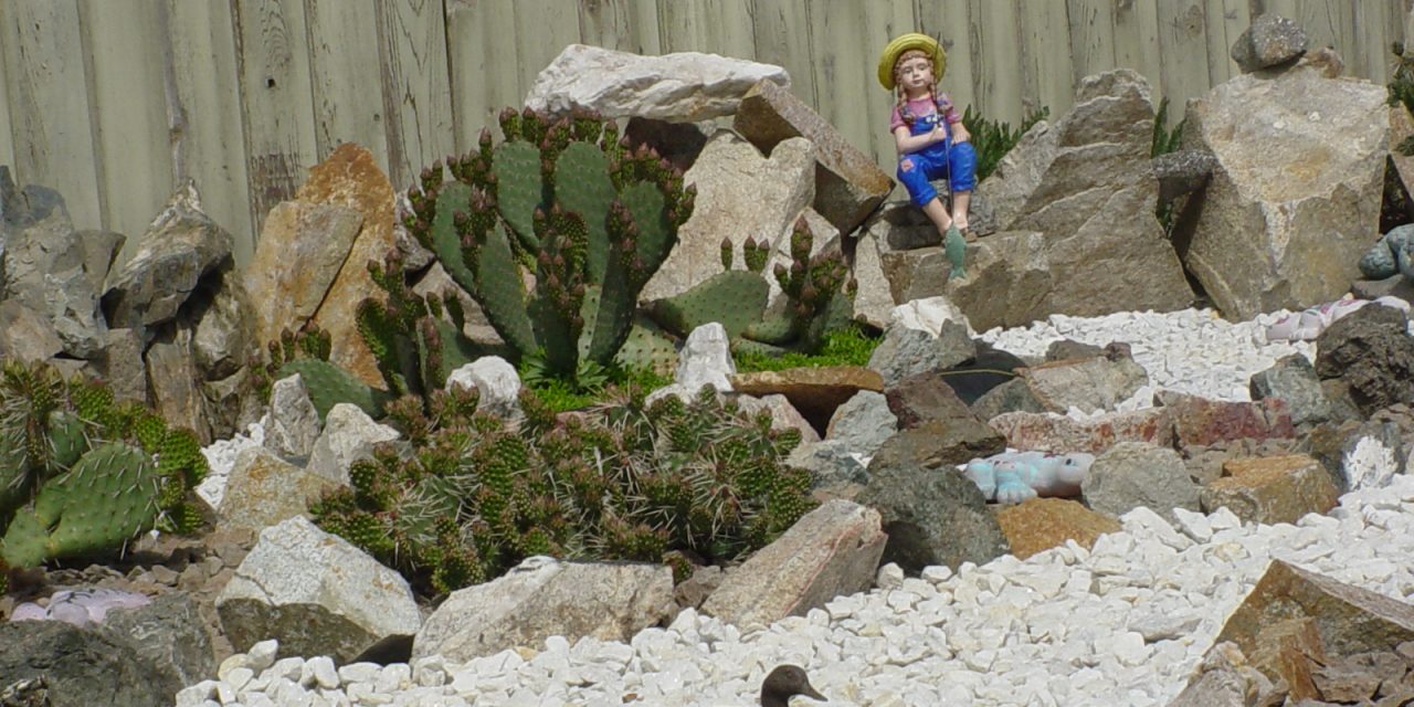 An oasis in the backyard