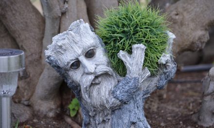 Gardening a delight for former Alberta folks