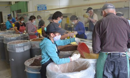 Gleaners back in the mix
