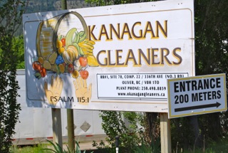 Gleaners to Guatemala – the long road travelled
