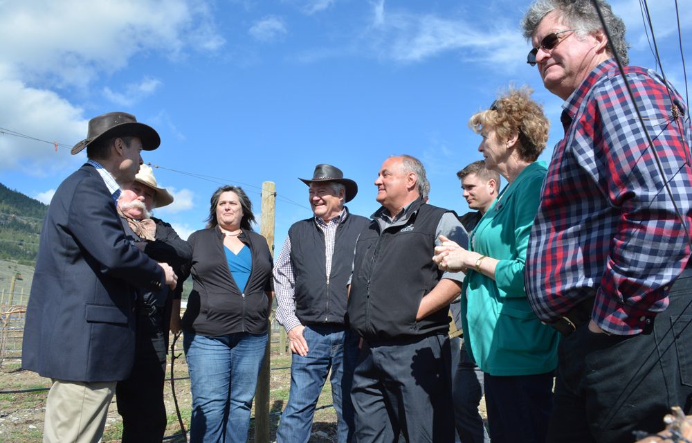 ‘Golden’ wineries hyped