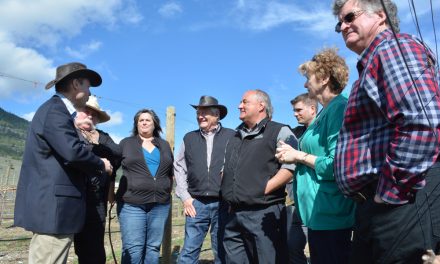 ‘Golden’ wineries hyped