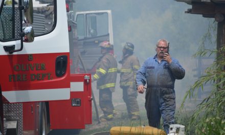 Lawnmower believed to cause small grass fire