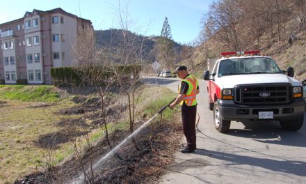 Small grass fire extinguished north of Oliver