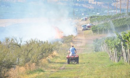 Black Sage Road grass fire being mopped up